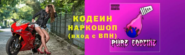 apvp Вяземский