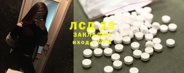 spice Горняк