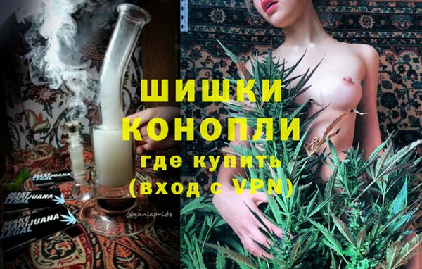 spice Горняк