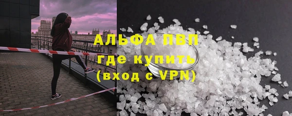 spice Горняк