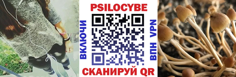 Псилоцибиновые грибы Psilocybine cubensis Долгопрудный