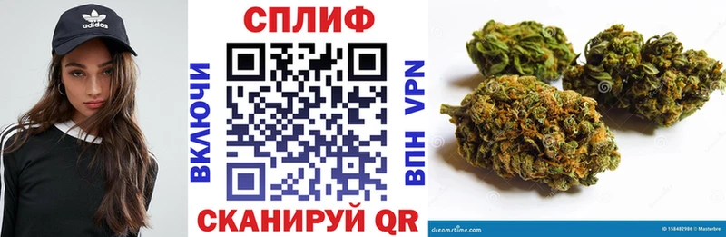 Марихуана тримм  продажа наркотиков  сайты даркнета как зайти  Долгопрудный 